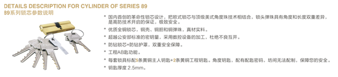 大門鎖鎖芯 大門鎖鎖芯
