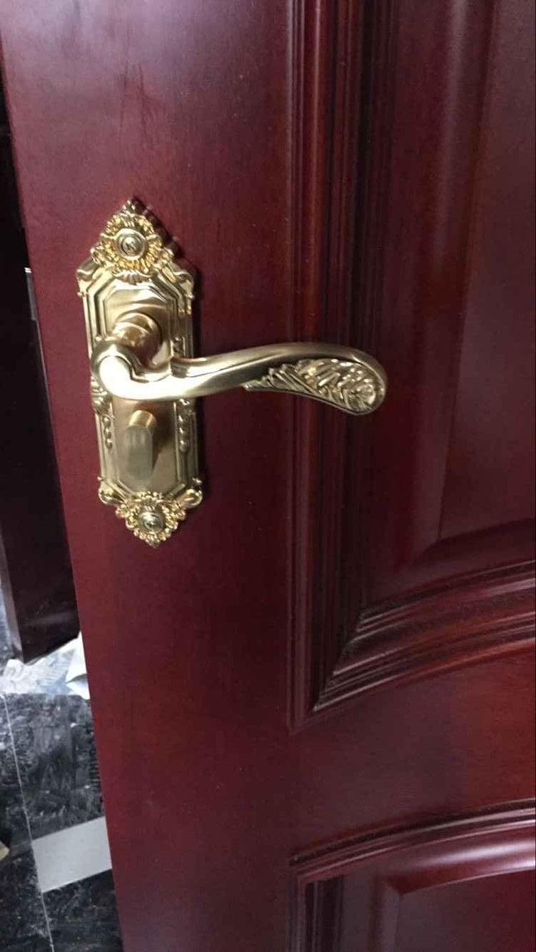 別墅（shù）門鎖實拍效果圖