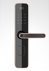 合欢视频智能鎖6505 迪拜金