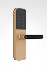 合欢视频智能鎖6505mini 迪拜金