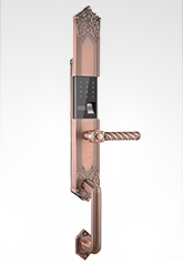 豪華（huá）大拉手別墅智能鎖 6509L